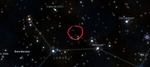¡La Nova del Lobo!